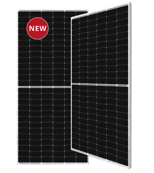 Screenshot 2025-03-12 143226