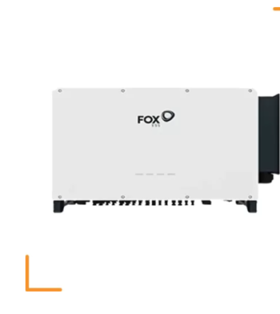 Screenshot 2025-03-13 052929