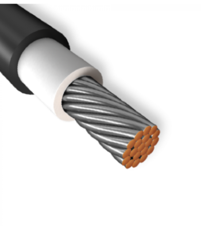 Screenshot 2025-03-13 090141